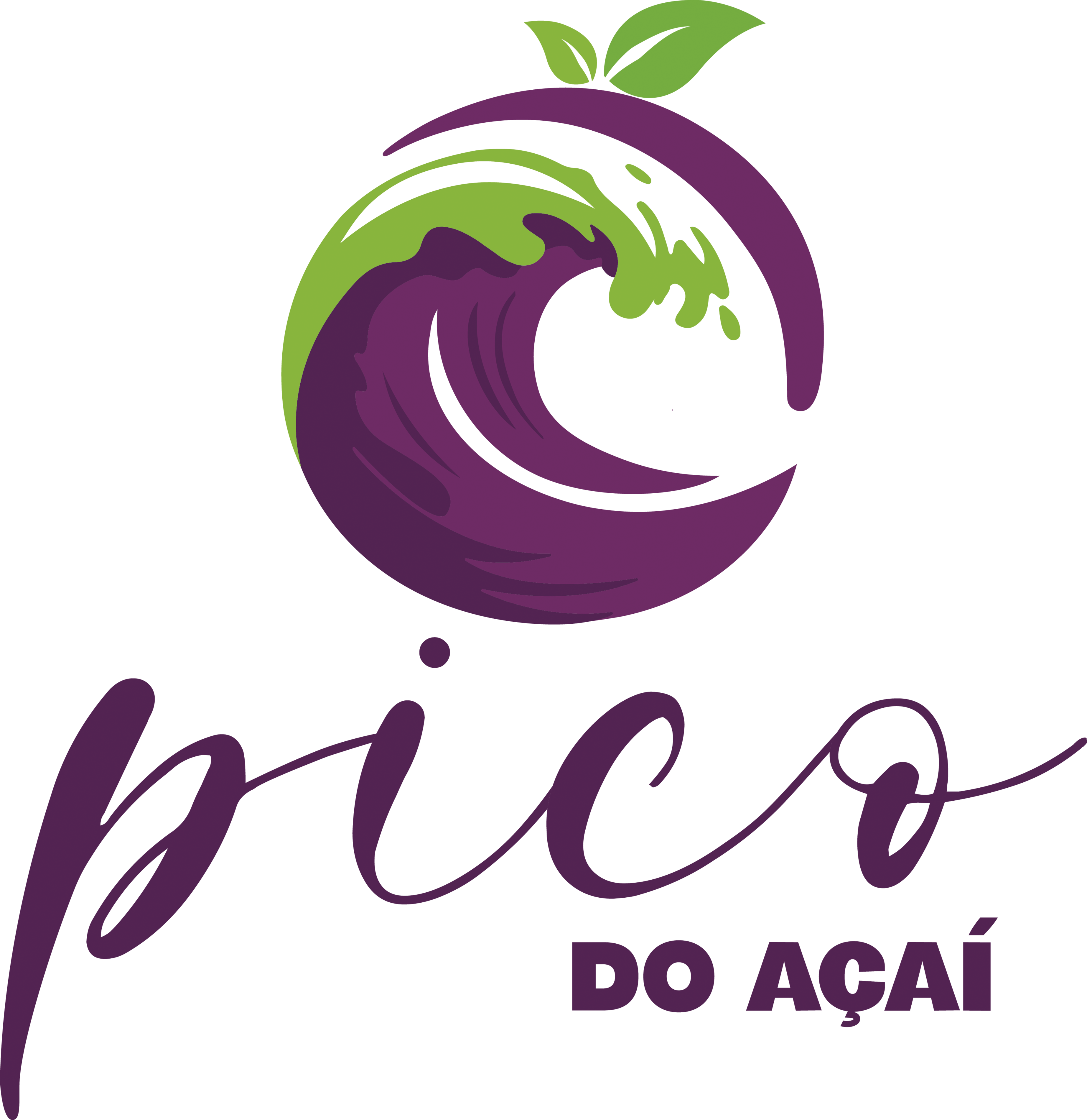 Pico do Açaí